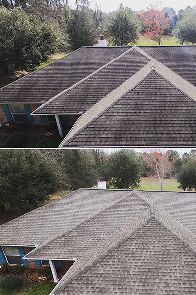 Roof Cleaning