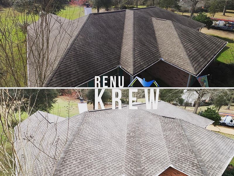 Roof Cleaning